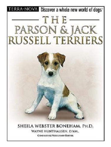 The Parson Jack Russell Terriers