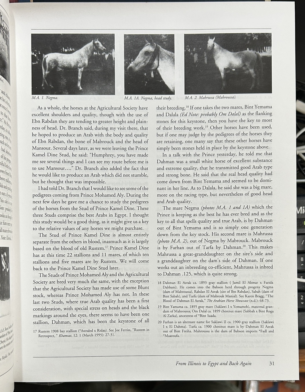 The Babson Influence A Retrospective The Bloodline at the Base of Some ...